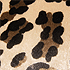 Leopard swatch