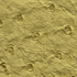 Avocado swatch