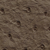 Olive Oil swatch
